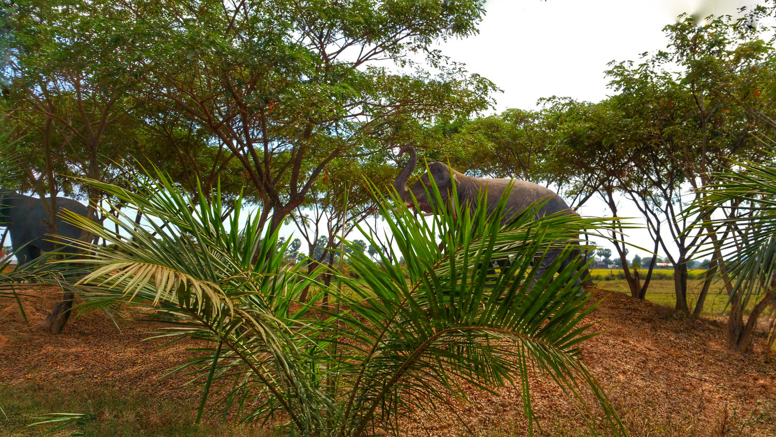 Cambodian countryside by Elon49 on DeviantArt