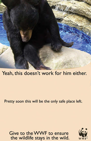 WWF ad bear