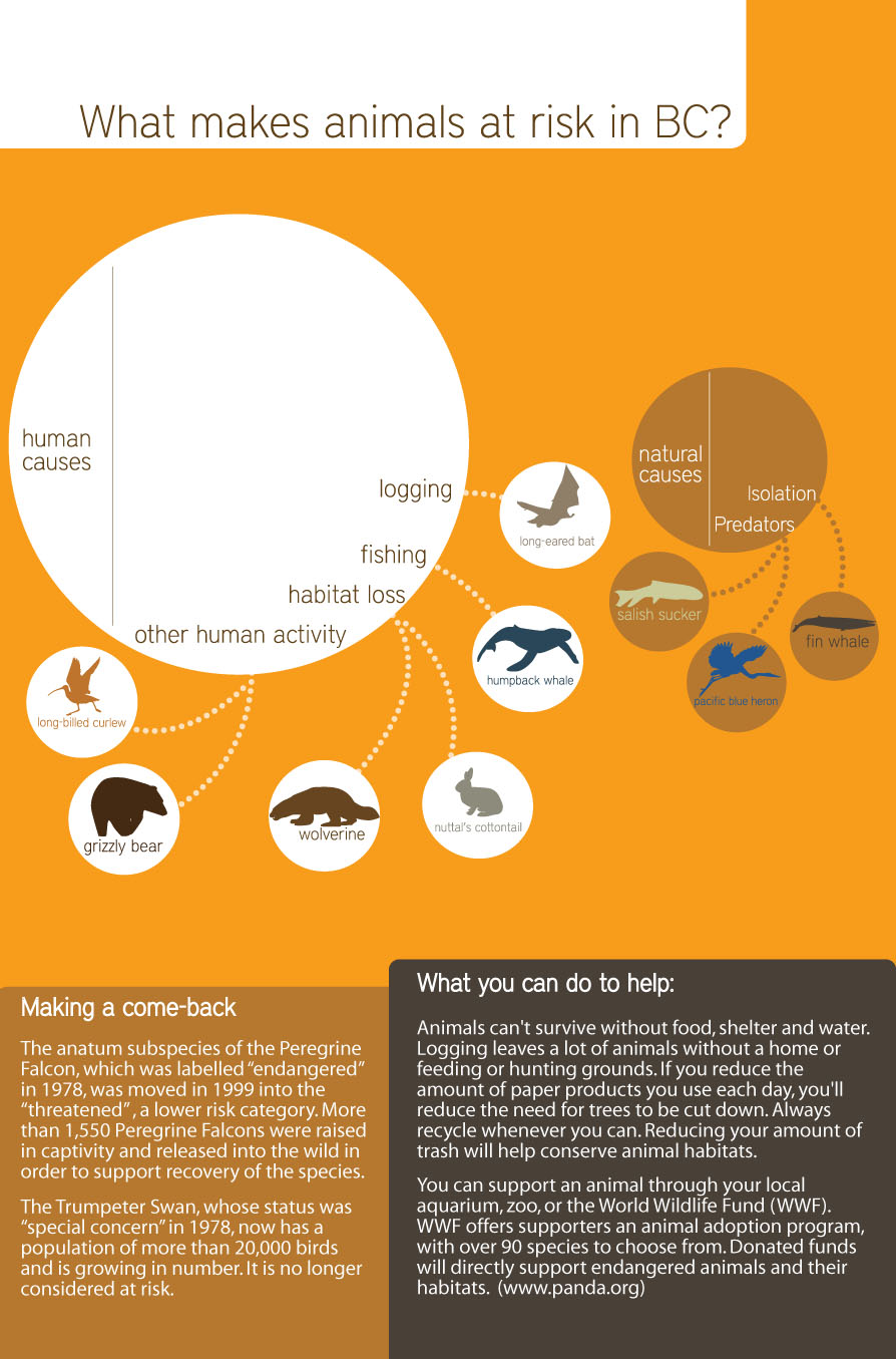 Species at Risk poster