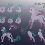 P2U PONY BASE (CLOSED) / YCH (OPEN)