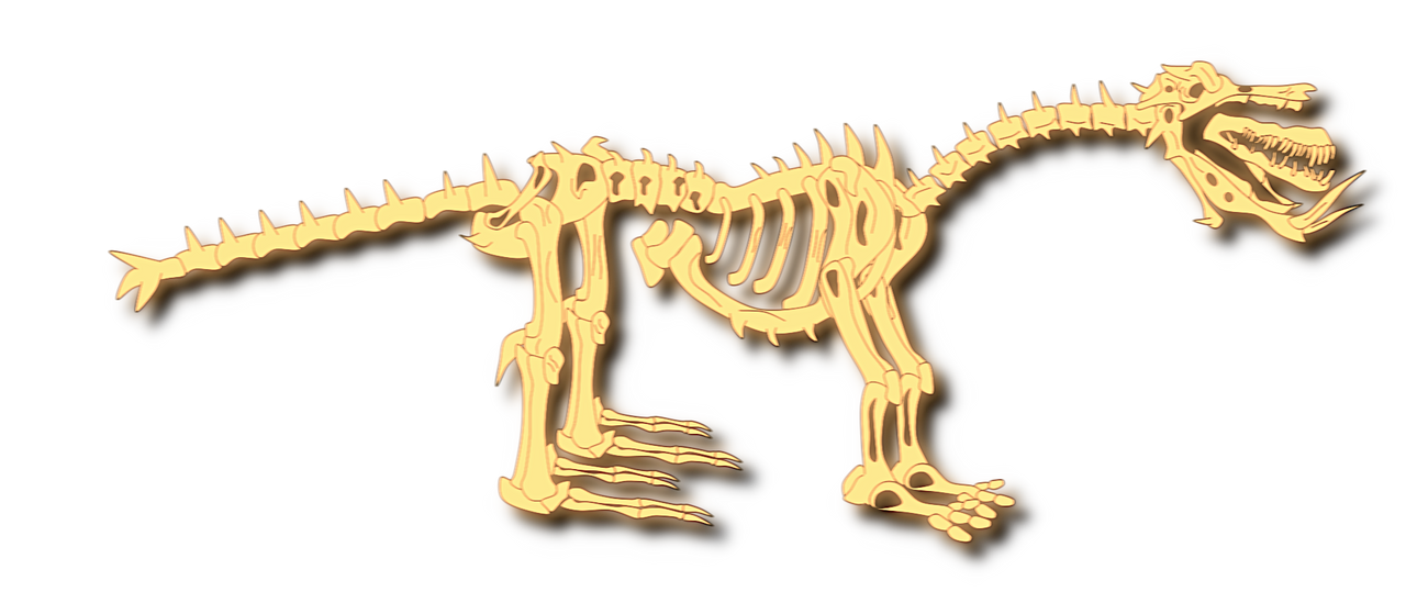 Skeleton by Felinesabertooth321 on DeviantArt