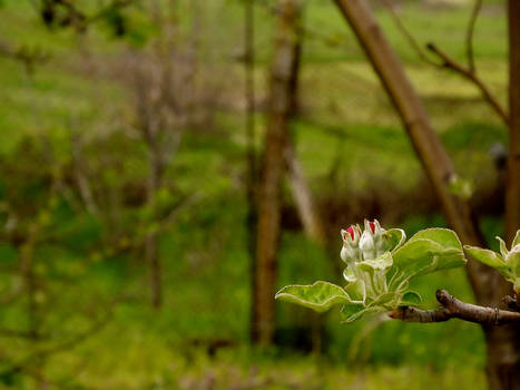 Signs of spring