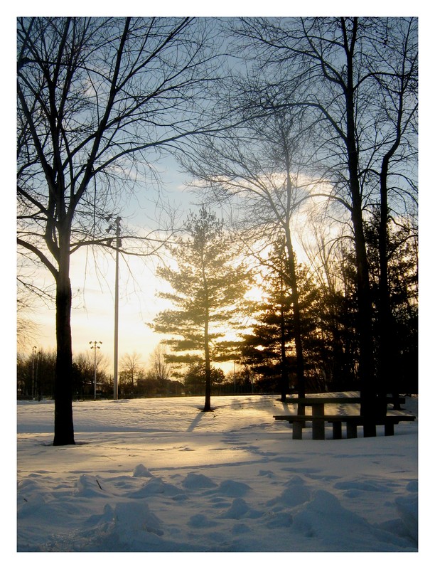 Winter Portrait