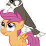 Scootaloo's Pet