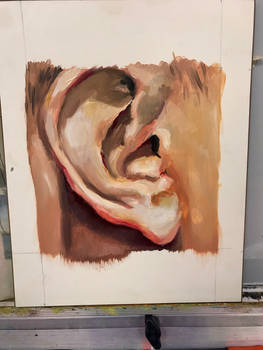 Flesh tone study of an ear