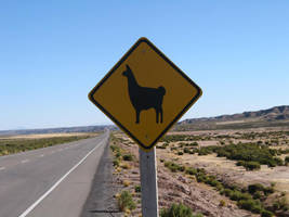 Save the Llama's