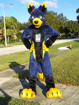 My Fursuit, Mac!