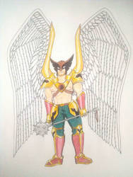 Hawkman - DC Universe