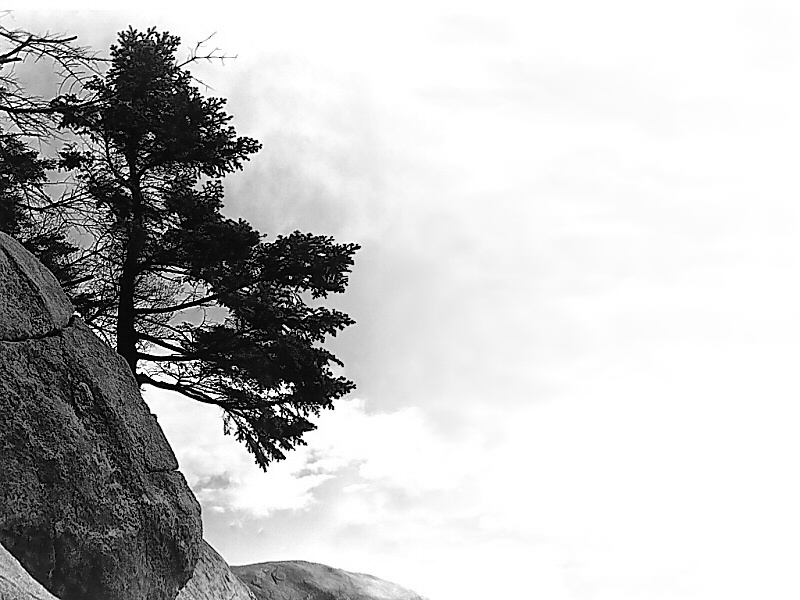 Clingman's Dome