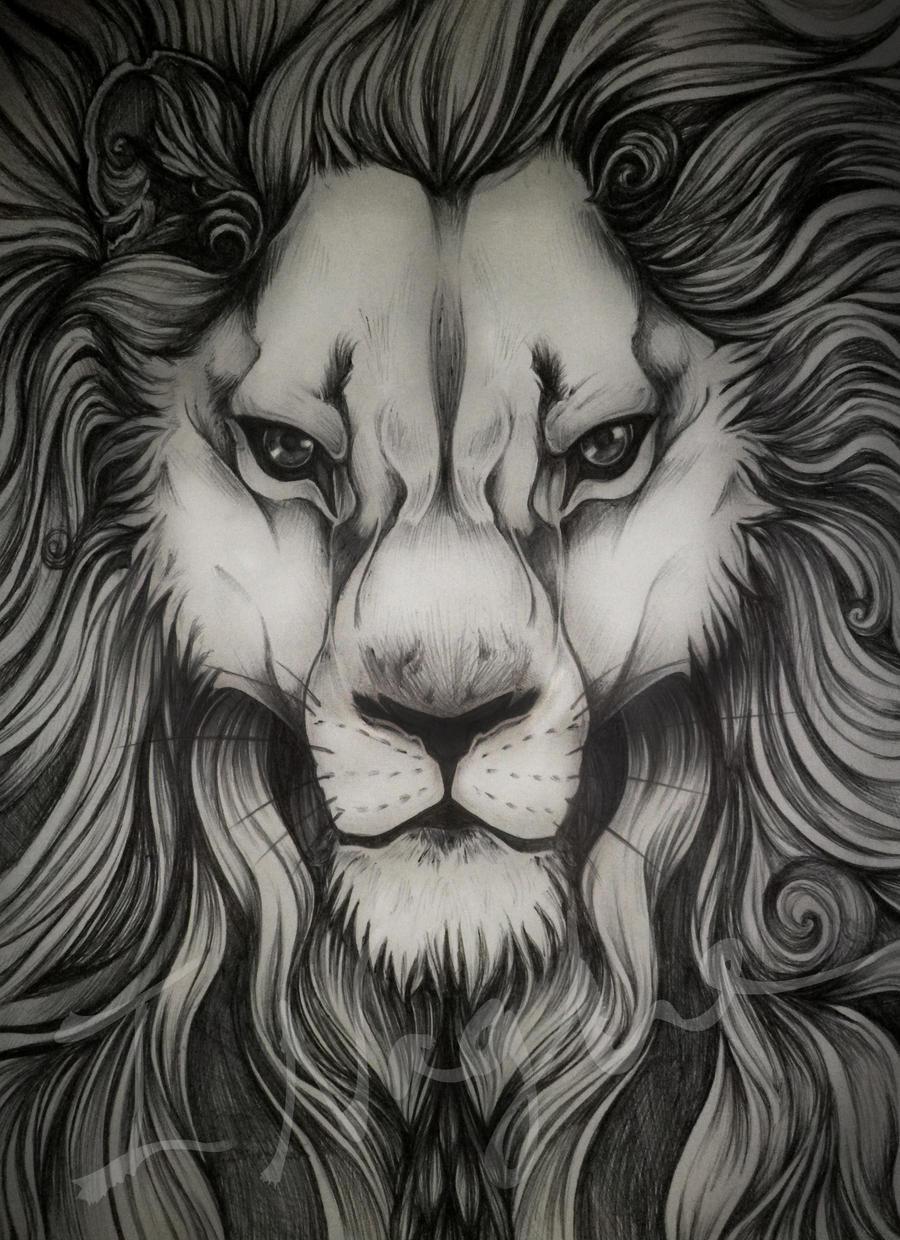 Big ass, overly detailed biro sketch of a Lion.