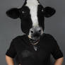 Cow Mask 2