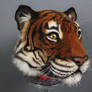 Tiger Mask 2