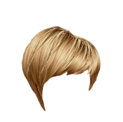 Hair png