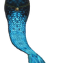 Mermaid tail png