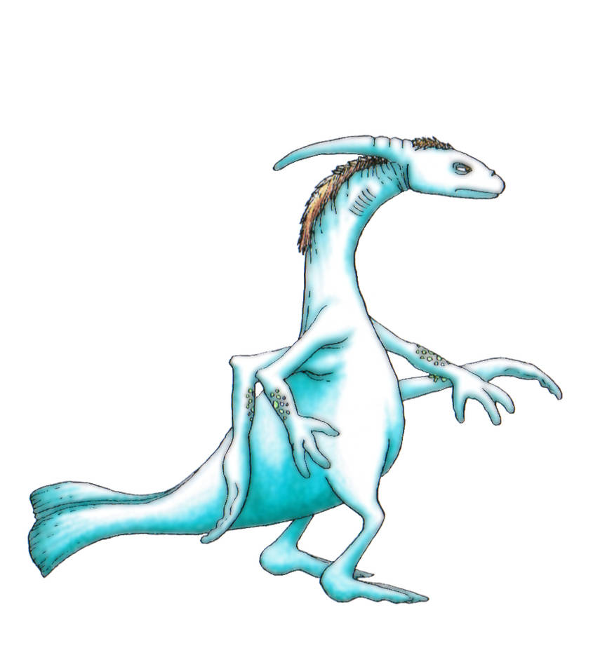 Akwin Akwin by Codemus on DeviantArt