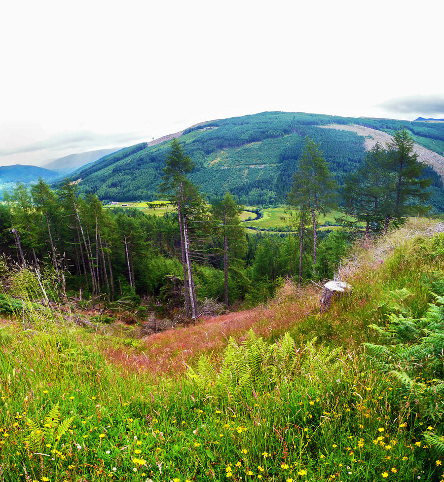 Trossachs from Above