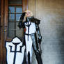 Crusader - Diablo III