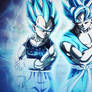 GOKU AND VEGETA, SUPER SAIYAN BLUE ! - END OF Z