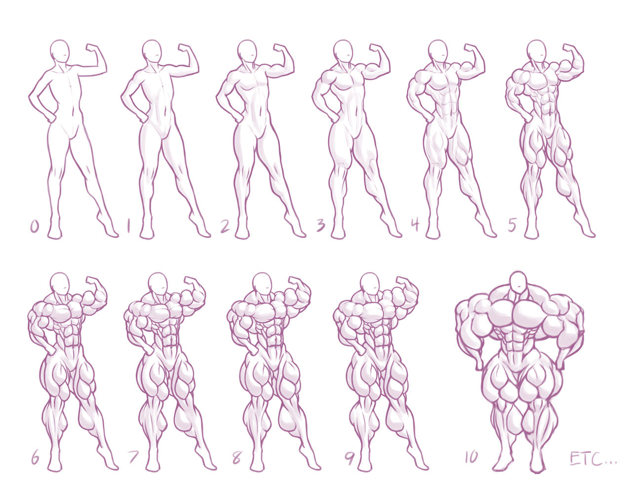 Size Chart #5: Muscle by MoxyDoxy on DeviantArt