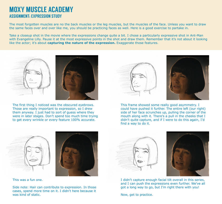 Expression Studies Reference Assignment: Expression Study by MoxyDoxy on DeviantArt