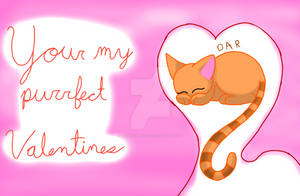 Valentines Kitten