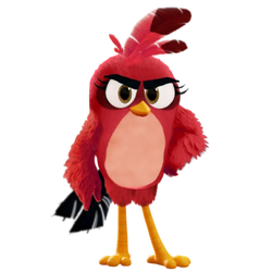 Angry Birds Ruby Movie Design (Fanmade)