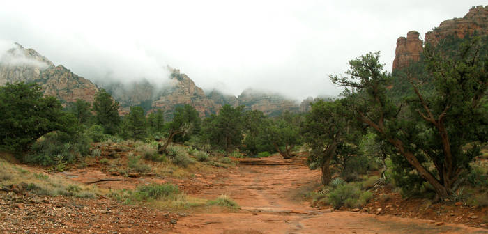 Path into the Mist