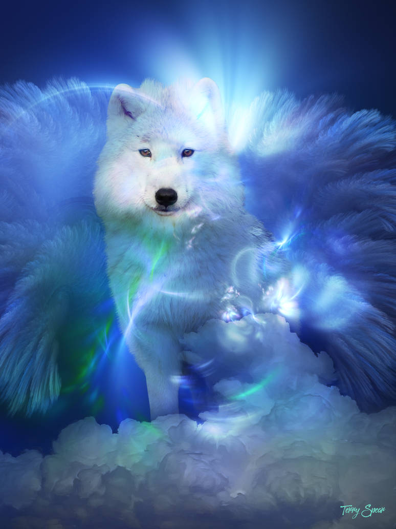 Wolf Angel by Shapeshifter-Goddess on DeviantArt