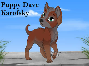 Puppy Dave