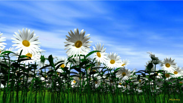 [Image: marguerite_field_by_micheuss_d6he9y4-350...2fk6sSDqPU]