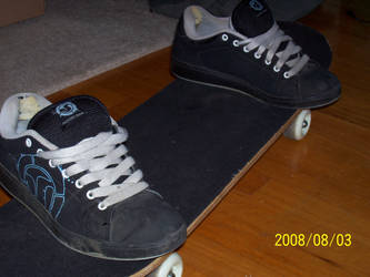 Skate Shoes