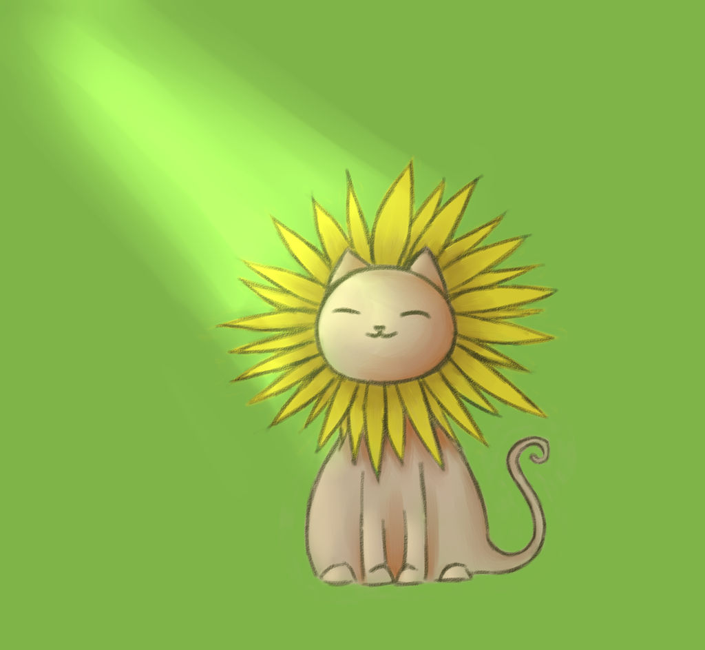 Sunflower cat