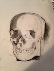 Skull Study