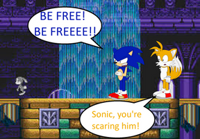 SonicSong182: Sonic, You're Scaring Him