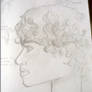 HS Sketch-Curly Hair Study (Tommy)