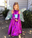 Princess Costume by avfc4me