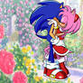 Amor Sonic X Amy