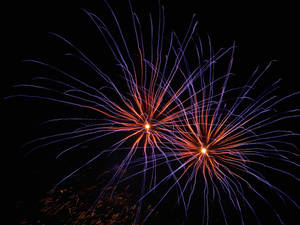 fireworks2