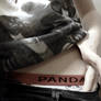 .:Panda:.