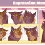 TWA | Expression Meme - Blindeagle.