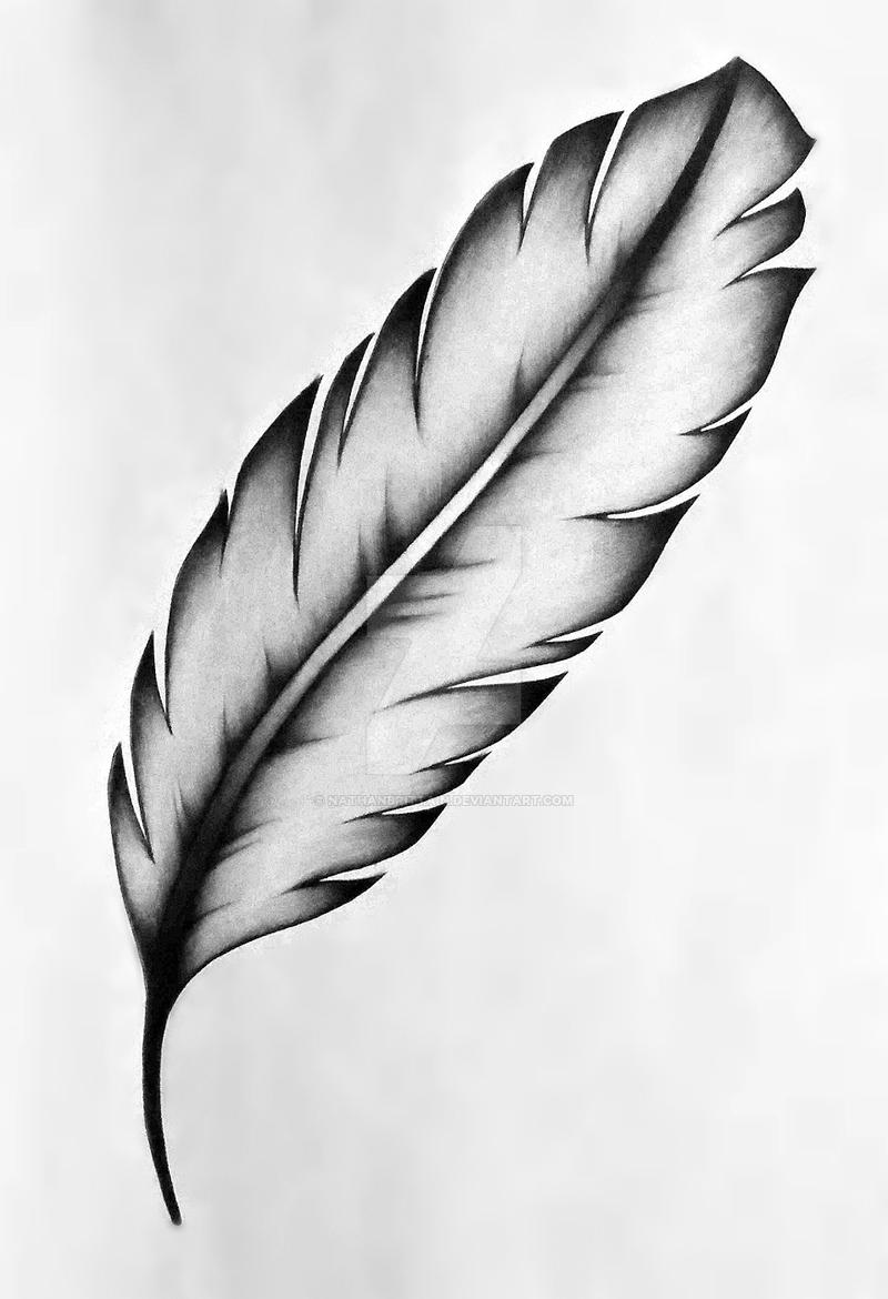 Feather tattoo design.