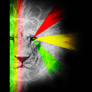 rasta vision 2