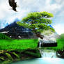 natural dream