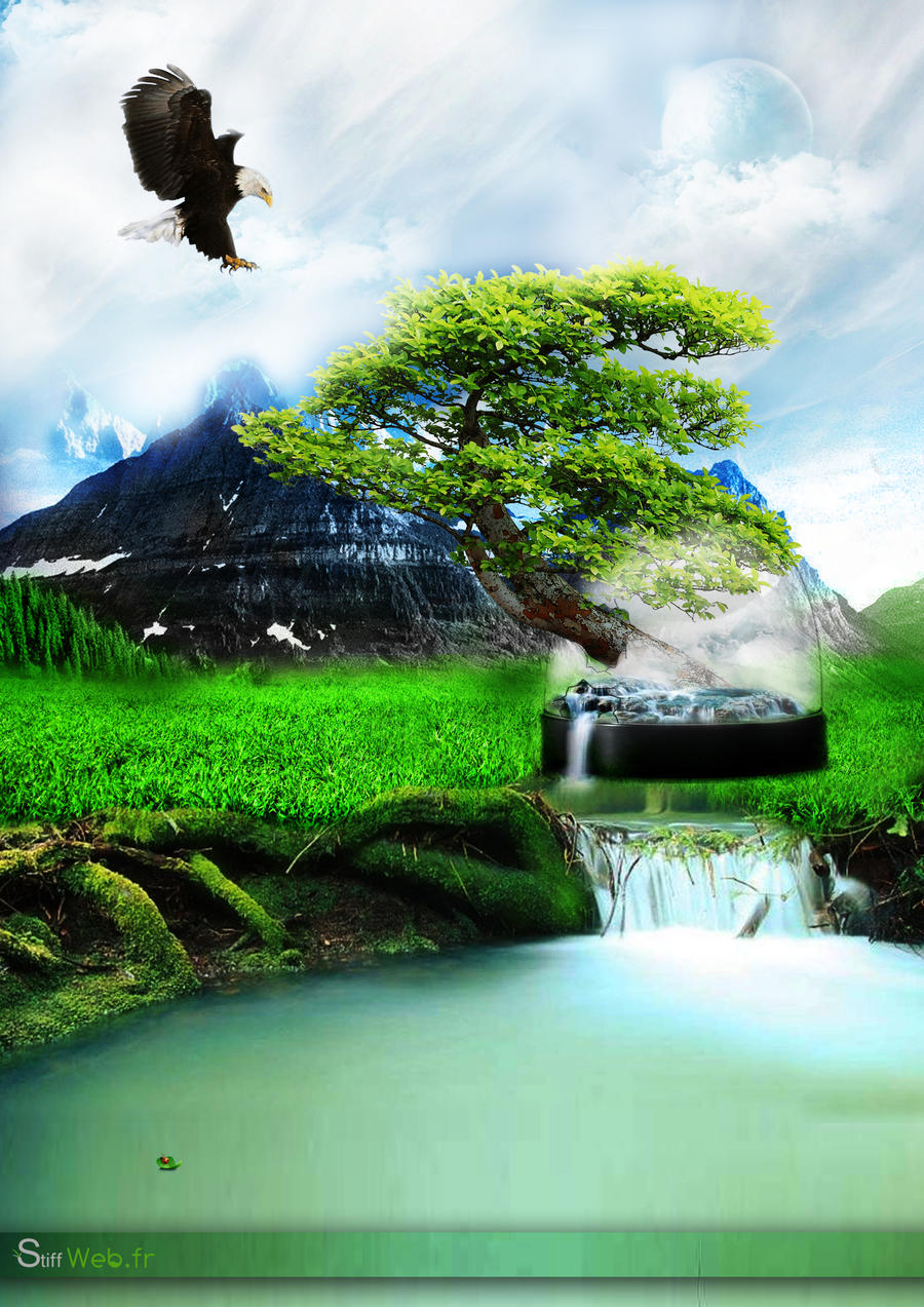 natural dream