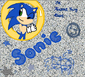 Sonic Scrap Page