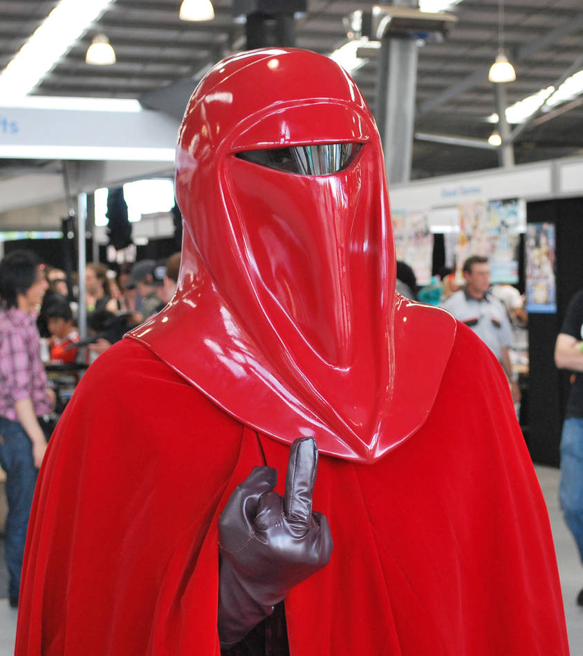 Grumpy Royal Guard by Apcooke on DeviantArt