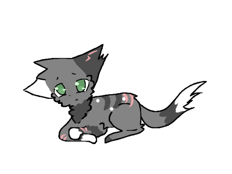 TWG- SilverPaws wounds...