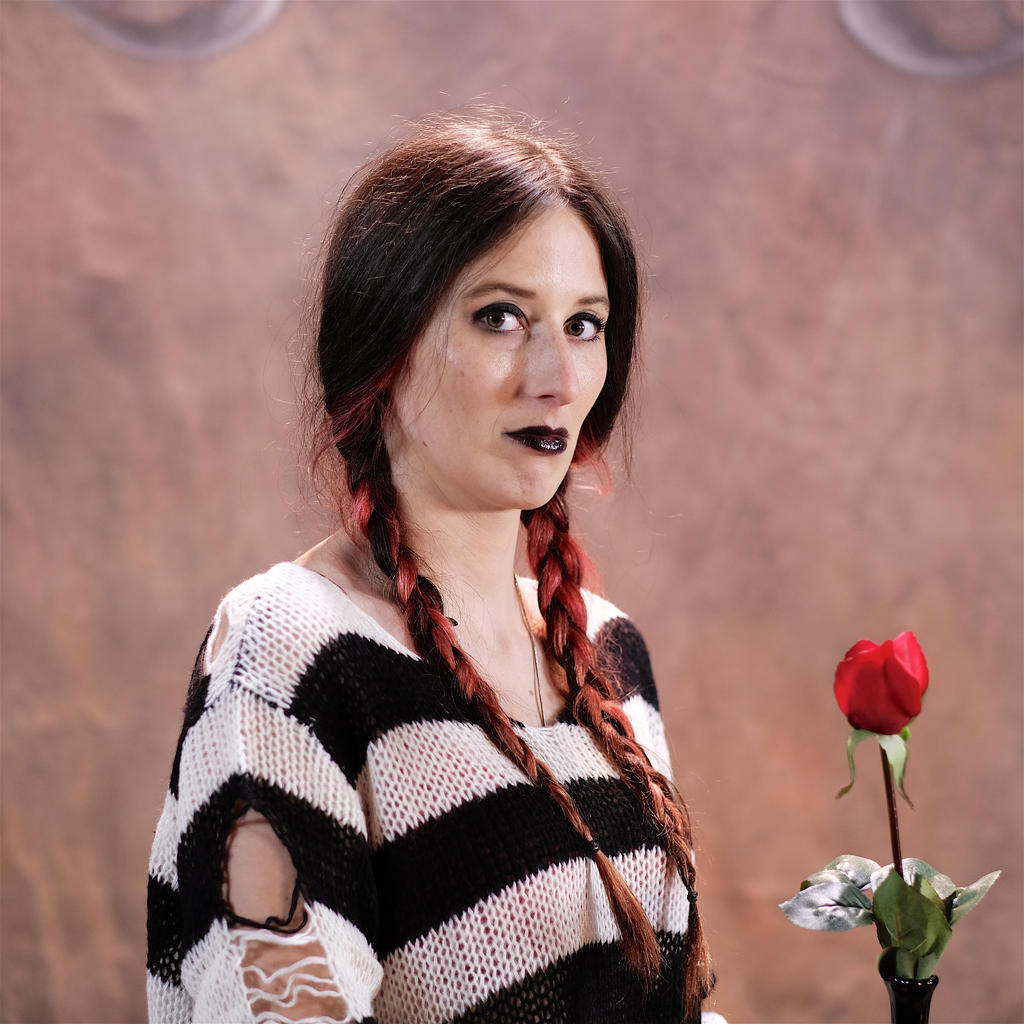 Realy Roses Really, A Rose ? by stillphototheater on DeviantArt