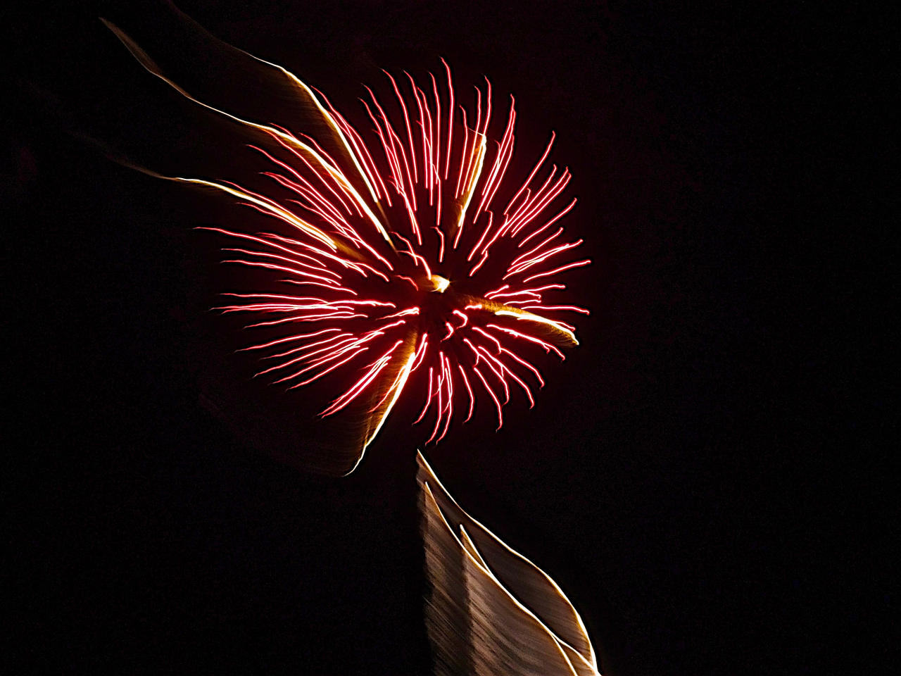 Fireworks Deviantart Fireworks, 4 by stillphototheater on DeviantArt