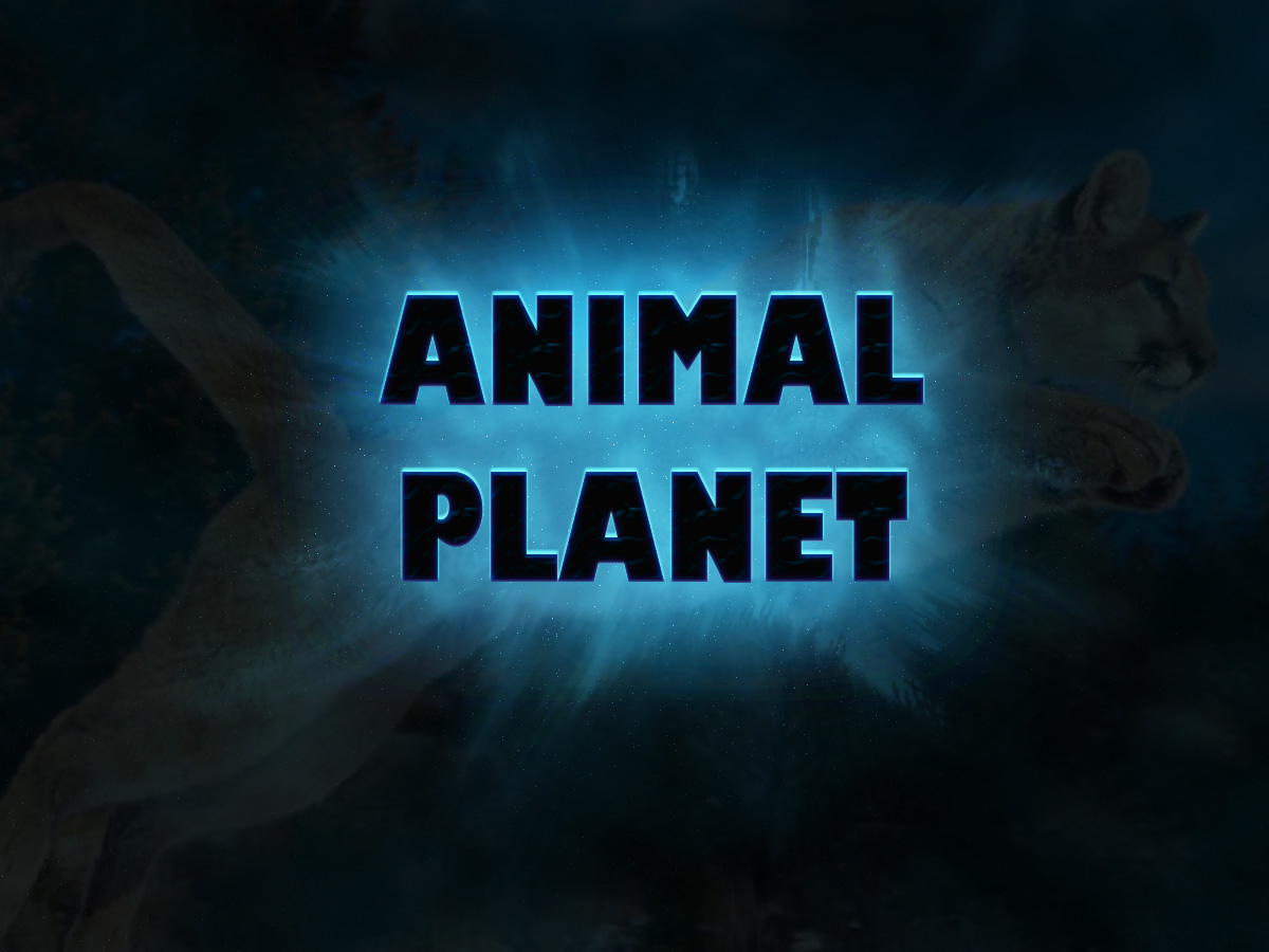 AniMal PlaNet